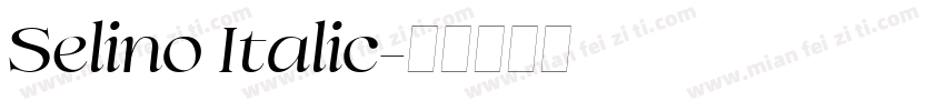 Selino Italic字体转换